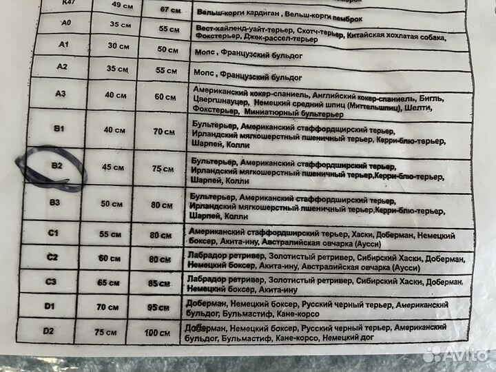 Одежда для собак (дождевик)