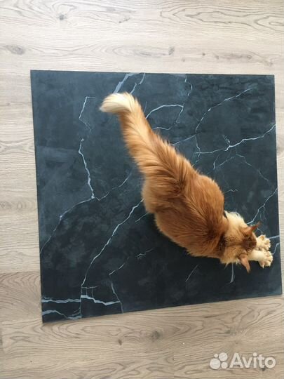 Фотофон черный мрамор