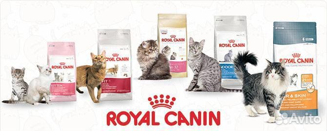 Корм Royal Canin для кошек и котят