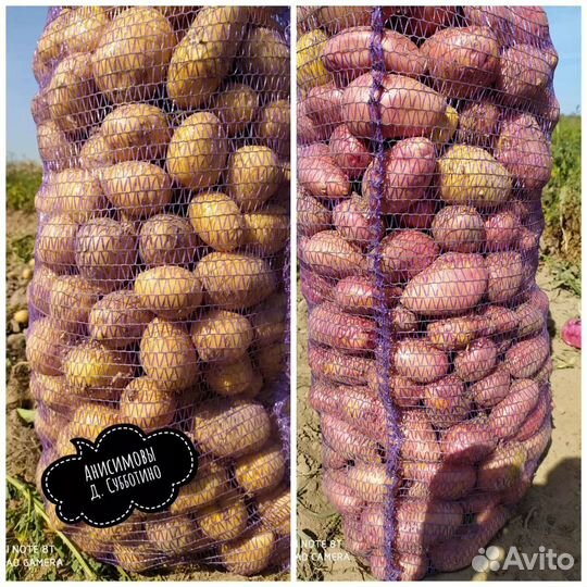 Продам картофель(овощи) опт и розница