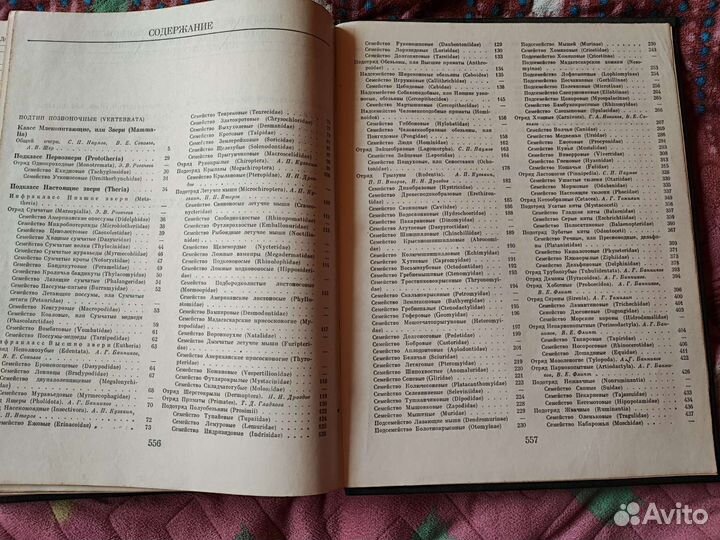 Жизнь животных том 7