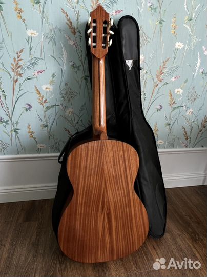 Новая гитара - cremona 4855 4/4