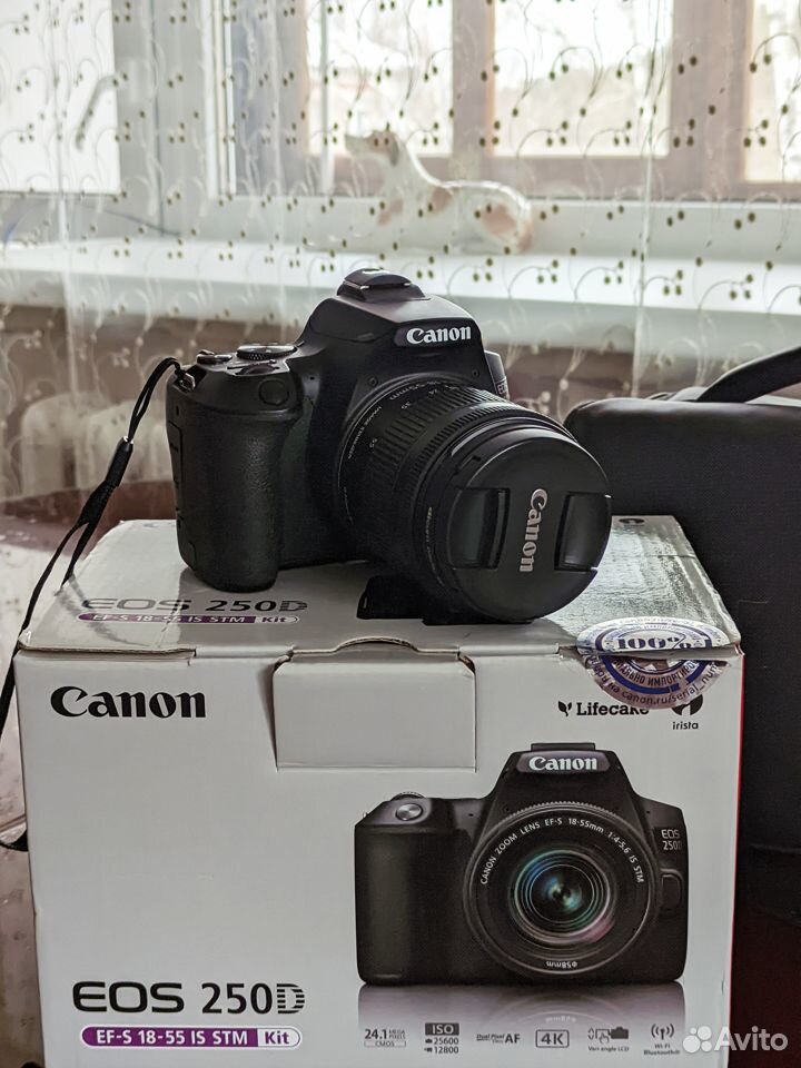 Canon EOS 250D