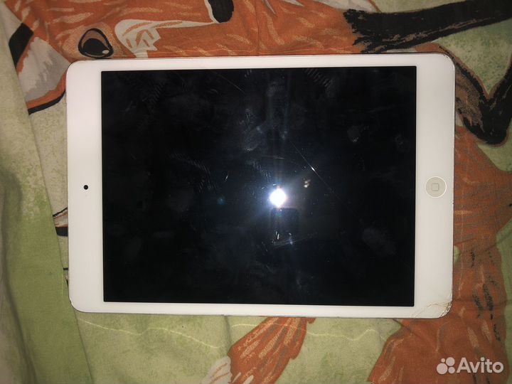 iPad