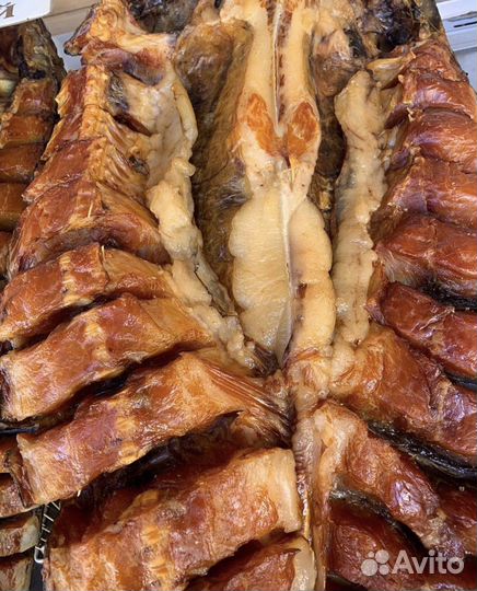 Рыба Толстолоб оптом