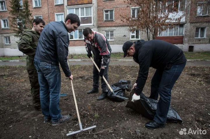 Разнорабочие