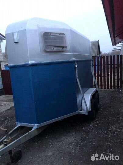 Перевозка домашних животных