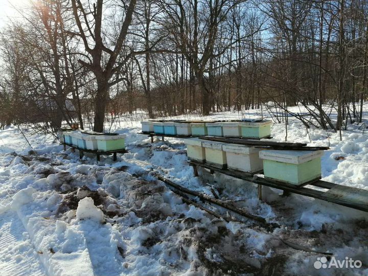 Форма для ульев ппс 12 рам