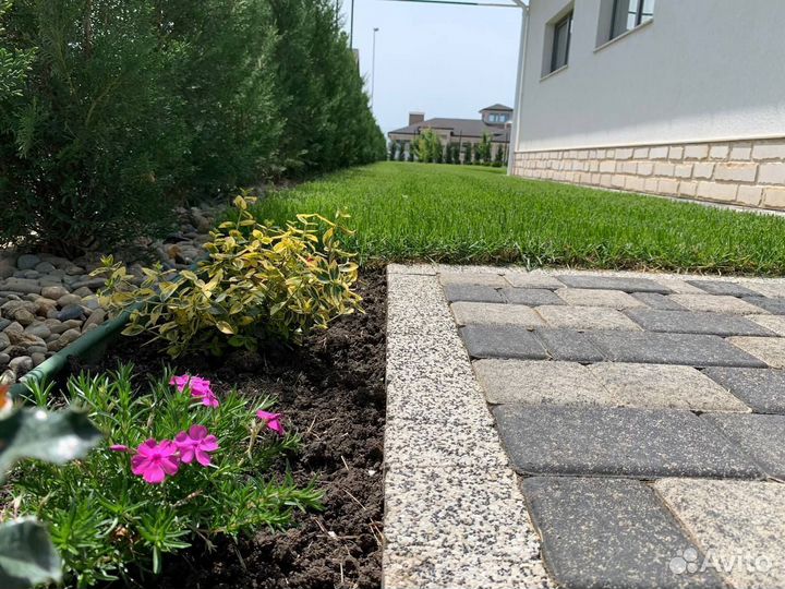 Автополив/газон