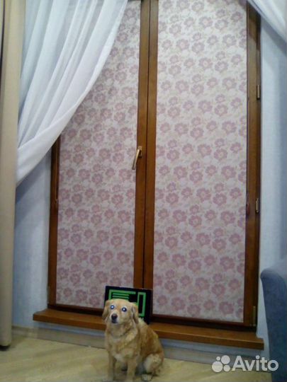 Рулонные шторы J6380-A2563