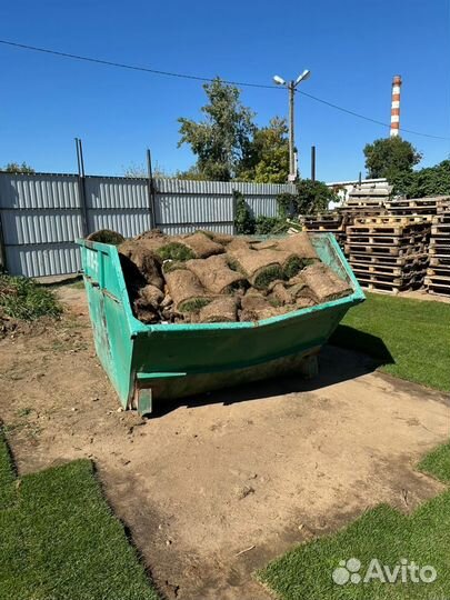 Вывоз мусора строительного