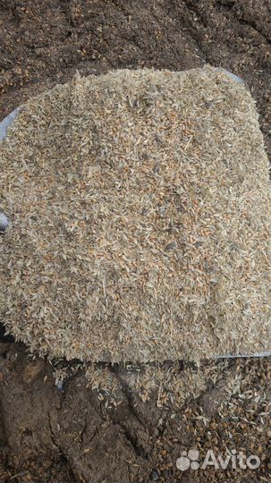 Зерно пшеница.2 сорт
