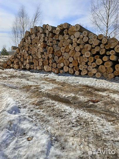 Лес кругляк