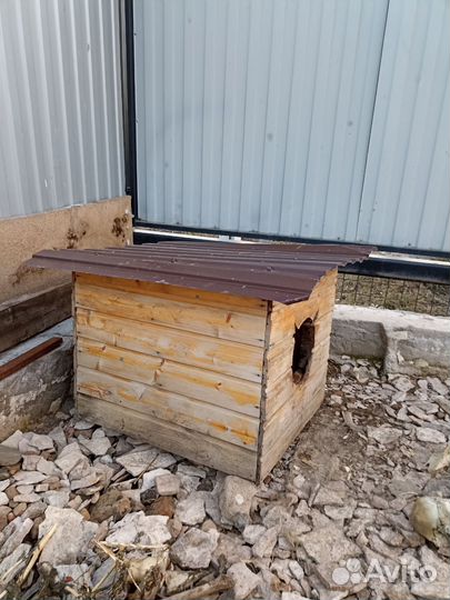 Будка для собаки бесплатно