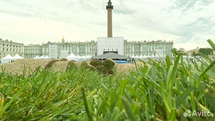 Рулонный газон