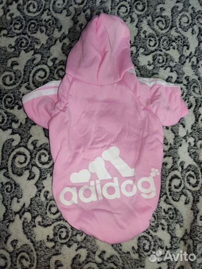 Одежда для кошки сфинкс или маленькой собачки