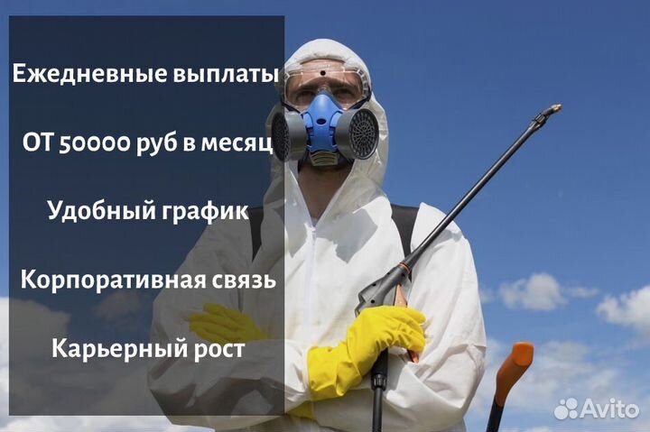 Мастер дезинсектор от 2000 в день