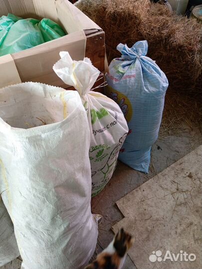 Навоз в мешках куринный