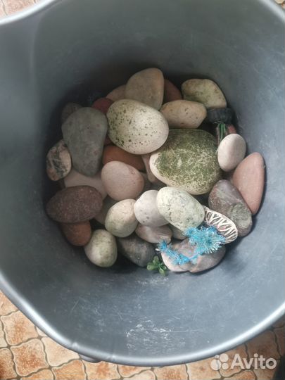 Грунт для аквариума