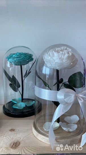 Роза в колбе в наличии от производителя