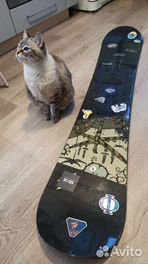 Сноуборд Ride Concept TMS 161