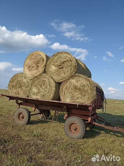 Сено в рулонах