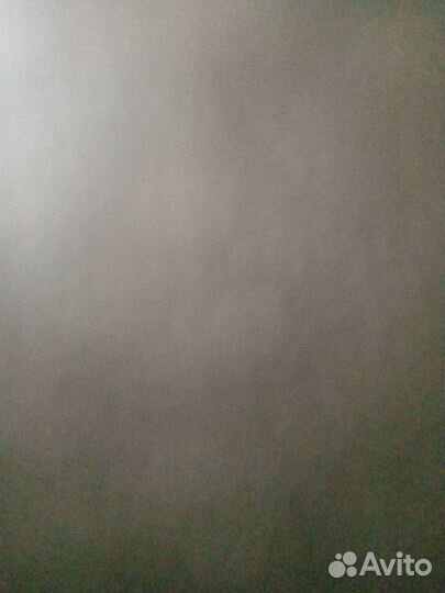 Продам быка