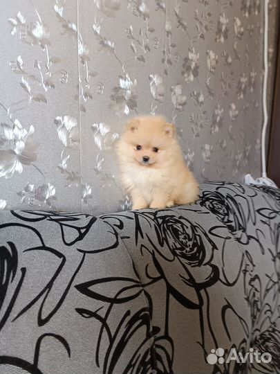 Девочки и мальчики