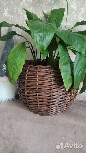 Кашпо из искусственного ротанга 4,5 литра