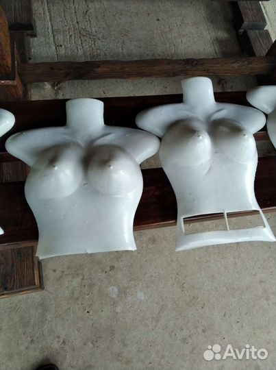 Женский торс