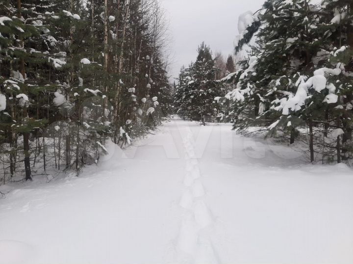 Участок 2,6 га (СНТ, ДНП)