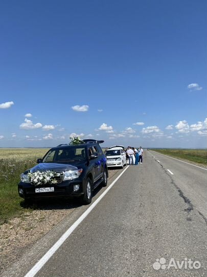 Аренда авто трансфер