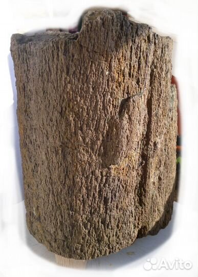 Окаменелое дерево для наружн. или внутр. инсталл