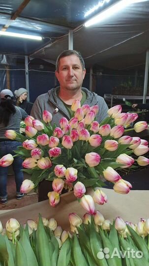 Тюльпаны оптом к 8 Марта