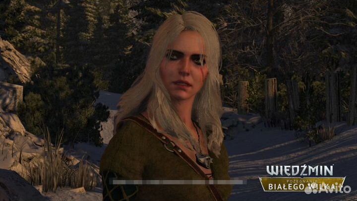 The Witcher 2 - Enhanced Edition (Steam)
