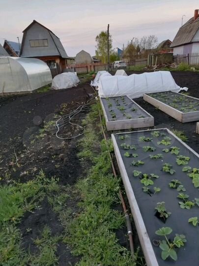 Участок 6 сот. (СНТ, ДНП)