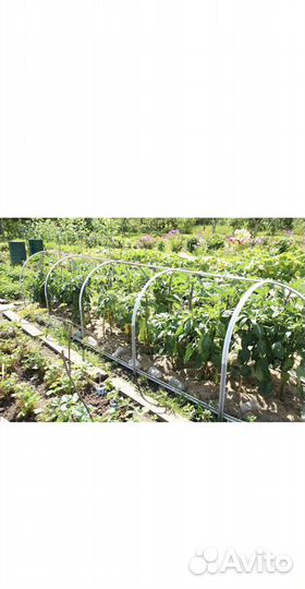 Стальной парник Агрощит