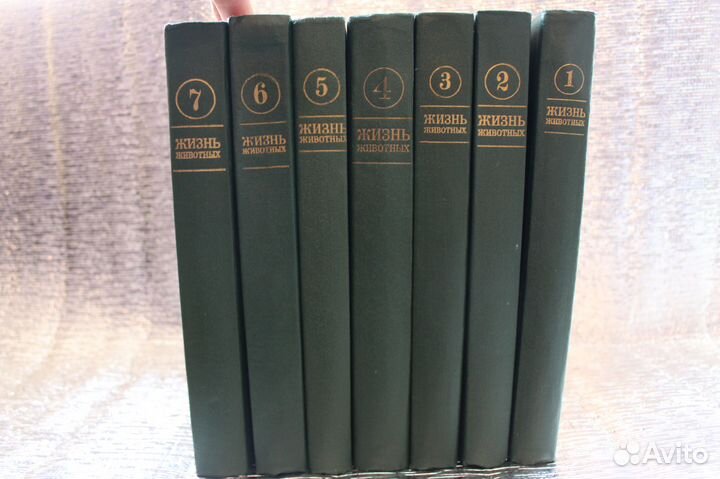 Энциклопедия 