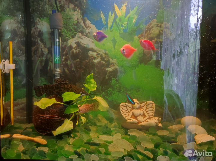 Аквариум