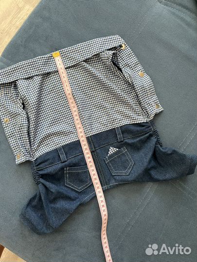 Одежда для собак