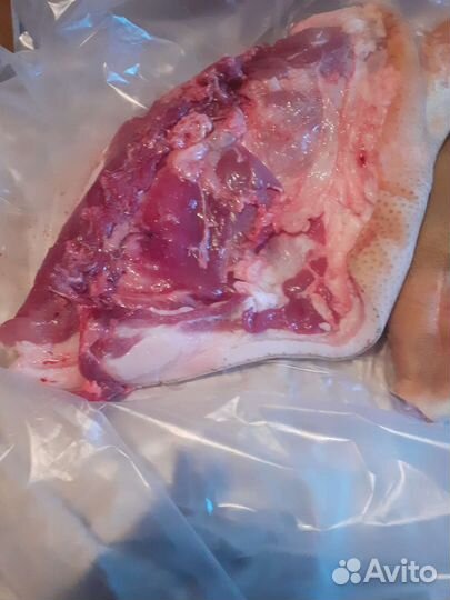 Мясо свинина
