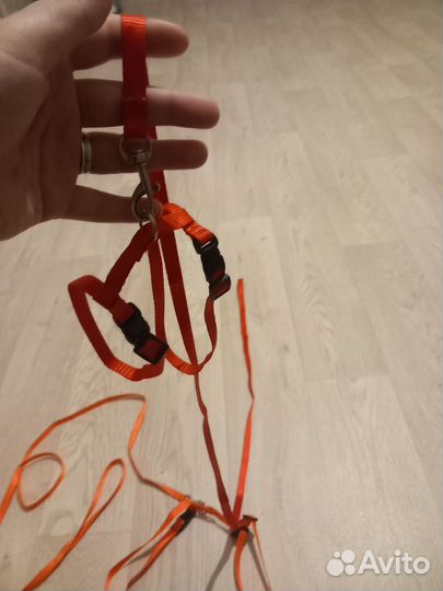 Поводок для щенков и кошек