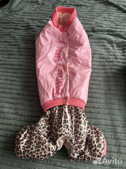 Комбинезон на таксу