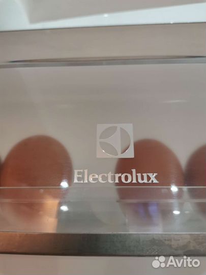 Встраиваемый холодильник