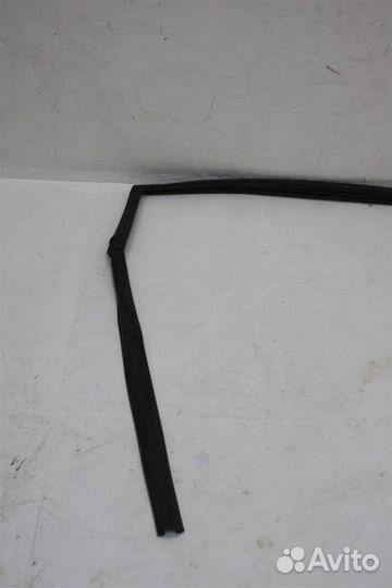 Уплотнитель стекла двери задней левой Nissan X-Tr