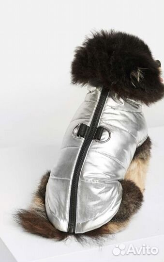 Жилет для собак