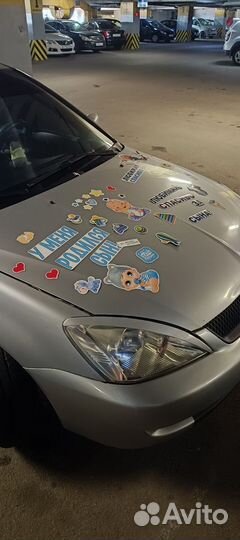 Магниты на выписку