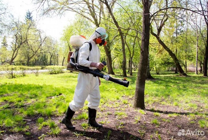 Уничтожение клопов тараканов грызунов плесени