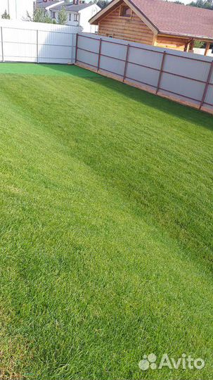 Рулонный газон