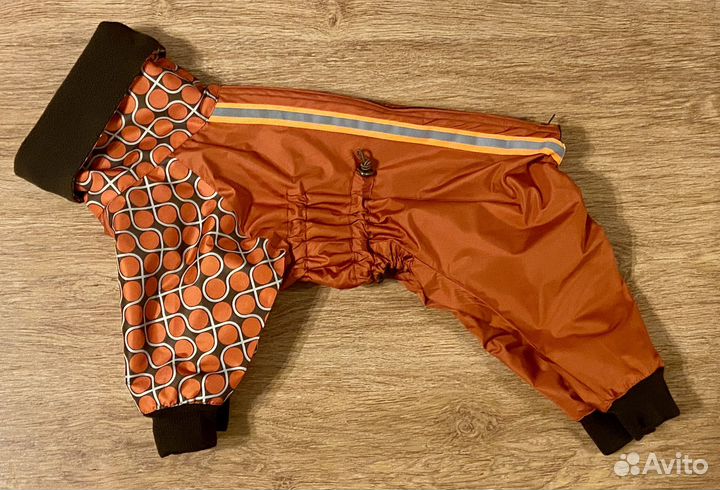 Одежда для басенджи